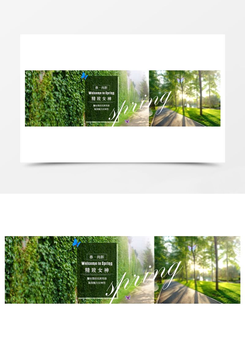 爬山虎绿树背景