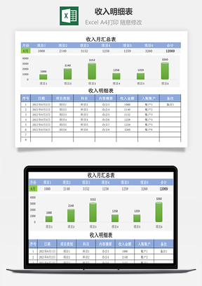 收入明細(xì)表