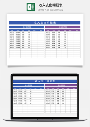 收入支出明细表