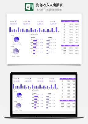 财务收入支出报表-可视化图表