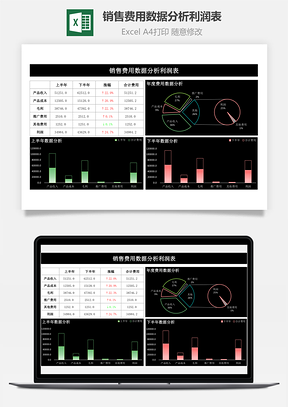 销售费用数据分析利润表