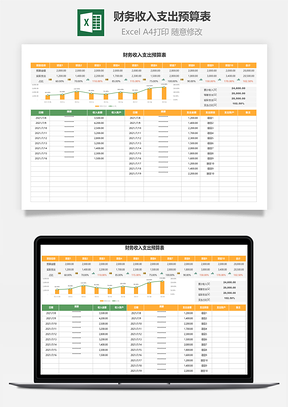 财务收入支出预算表