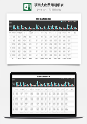 項(xiàng)目支出費(fèi)用明細(xì)表