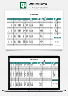 項(xiàng)目明細(xì)統(tǒng)計(jì)表