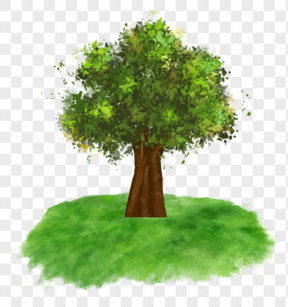  手绘绿色植物大树