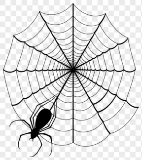 万圣节元素蜘蛛网 