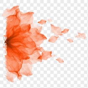 橙色漂浮花瓣