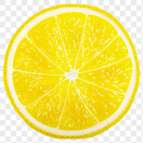 水果柠檬矢量图
