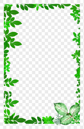 小清新绿叶树板绘边框