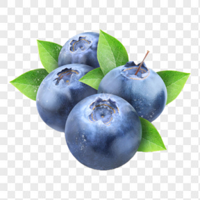 藍莓精致PNG圖片