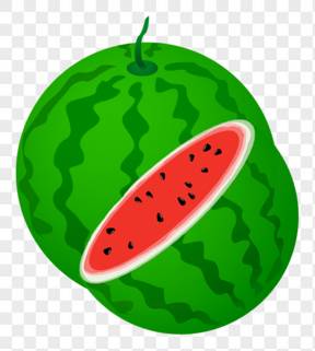 卡通绿色水果