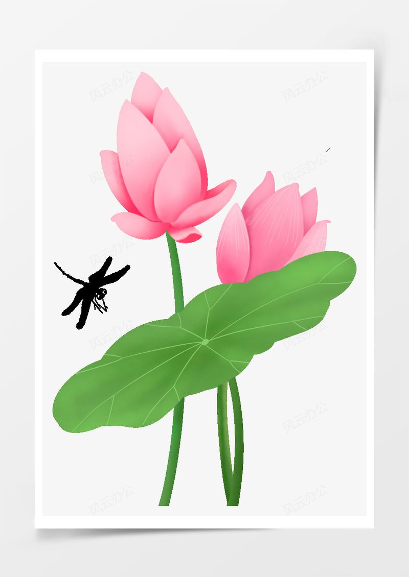 立夏小清新荷花元素PNG素材图片