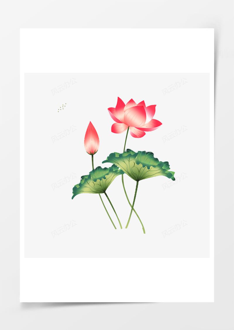 荷花莲子PNG素材图片
