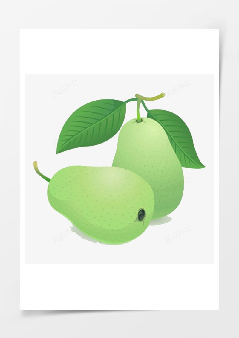 素描梨PNG素材图片