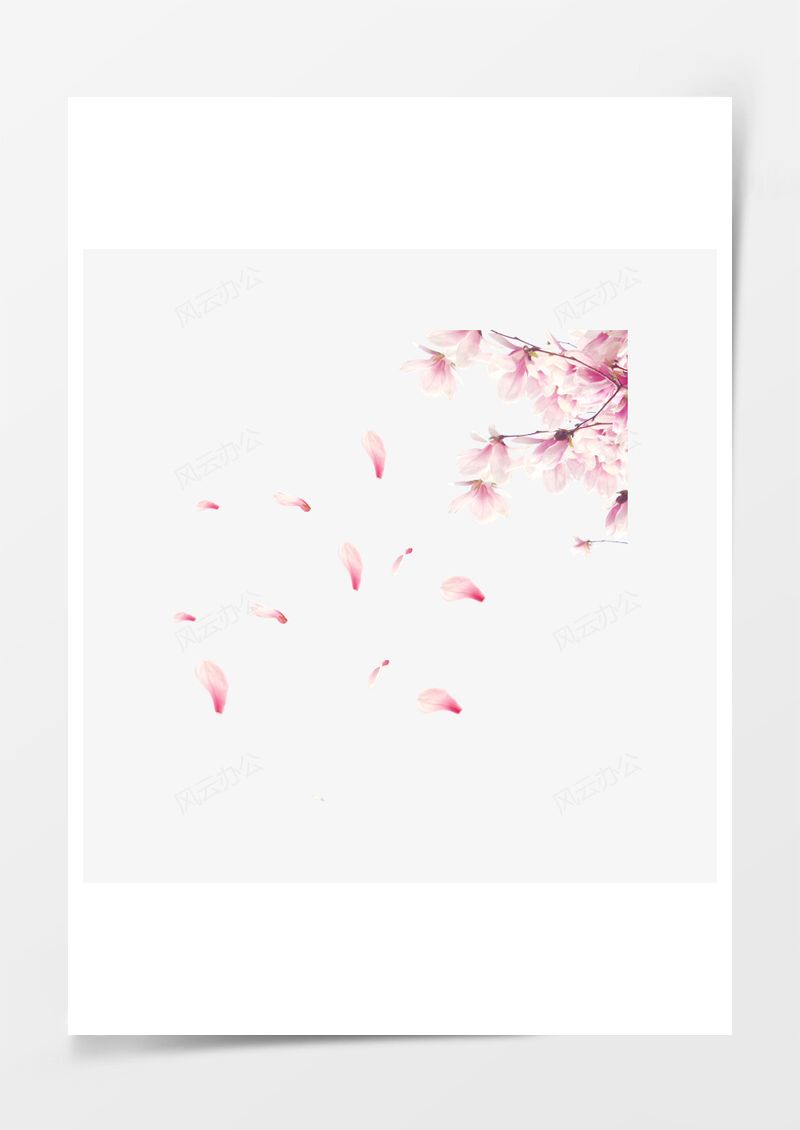 桃花花瓣PNG素材图片