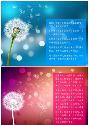 唯美蒲公英PPT背景图片下载