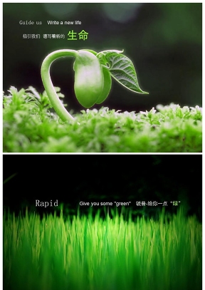 美麗綠色大自然PPT背景圖片