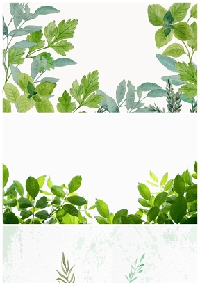 清新綠色葉子植物PPT背景圖片