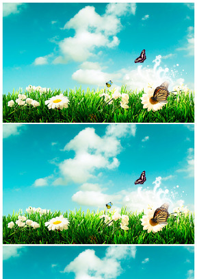 蝴蝶在花丛中蝶蝶起舞春天ppt背景