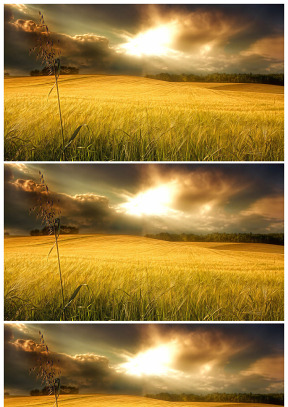 阳光透过云层打在一望无际的麦浪上面ppt背景图片