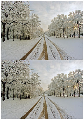 雪的世界雪景图片背景