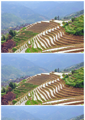 云南特色梯田幻灯片背景