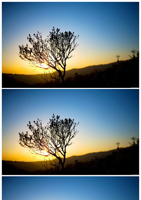 一棵树夕阳美景ppt背景图片