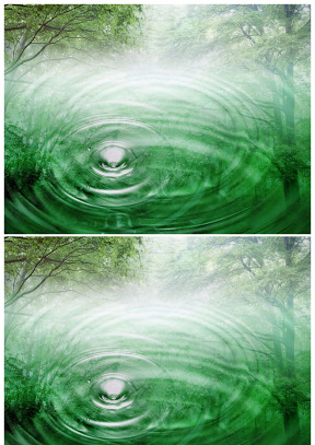 森林大自然净水融入一体背景图片