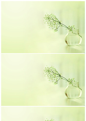 插在玻璃瓶里的小花——宁静淡雅绿幻灯片背景
