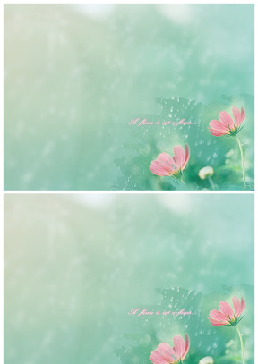 雾蒙蒙的小红花幻灯片背景图片