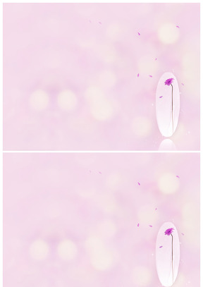 一朵紫色的花兒花瓣飄香粉色背景圖片