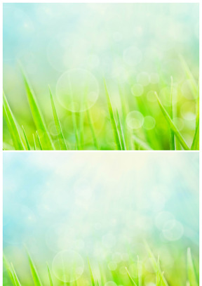 嫩叶气泡绿色清新背景图片