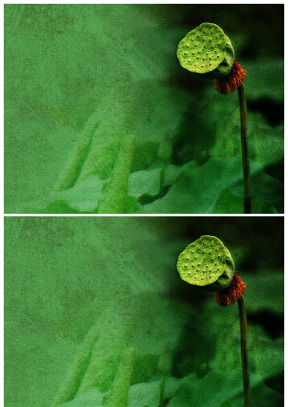 中國風荷葉蓮子綠色背景圖片