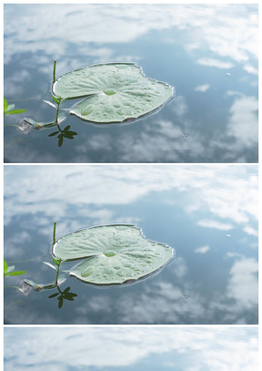 碧水蓝天水天相接莲叶高清背景图片