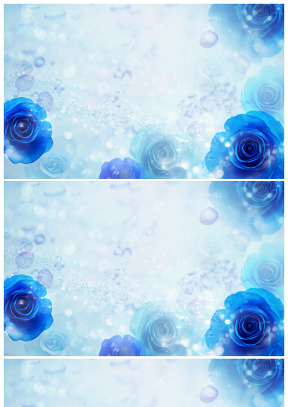 漂亮的蓝色玫瑰ppt背景图片