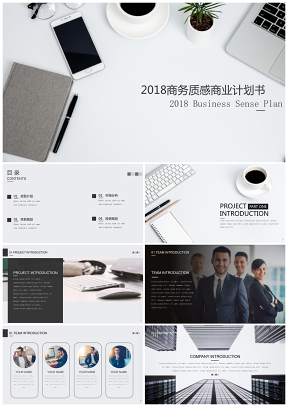 2019商务质感商业计划书2