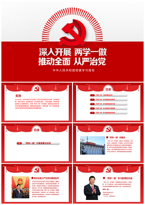 红色严谨两学一做政府报告PPT模板