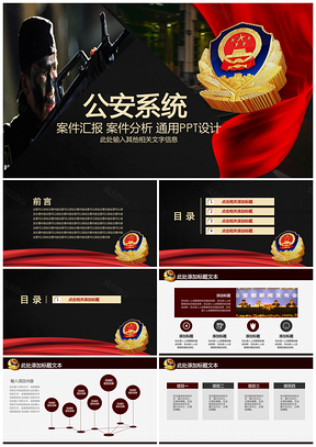 灰色公安系統(tǒng)案件報(bào)告案件分析PPT模板