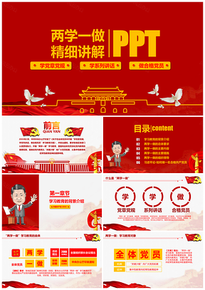 红色两学一做精细讲解PPT模板