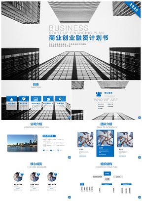 2025灰色動感精美創(chuàng)業(yè)融資招商商業(yè)計劃書PPT模板