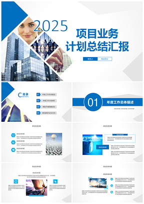2025蓝色项目业务计划总结汇报PPT模板
