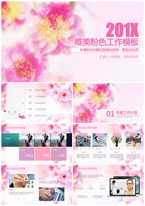 清新粉色花卉述職報告商業計劃書通用模板PPT