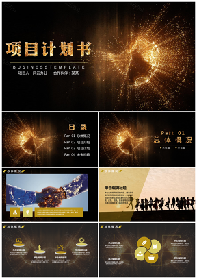 黃色項目計劃書商務風黑金高端精致項目商業(yè)計劃書報告述PPT模板