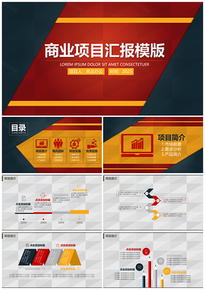 商业项目汇报模版