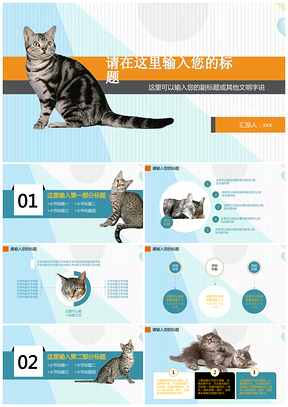 彩色可爱萌宠猫背景宠物店宠物医院宠物俱乐部通用PPT模板