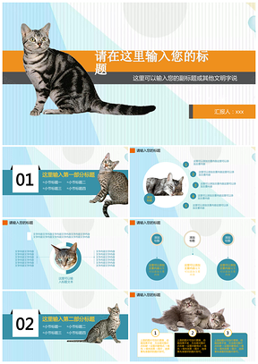 可爱萌宠猫背景宠物店宠物医院宠物俱乐部通用PPT