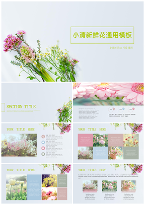 彩色小清新鲜花通用PPT模板