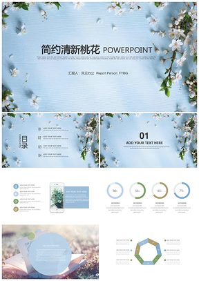 夏天藍(lán)色簡約清新通用答辯PPT模板