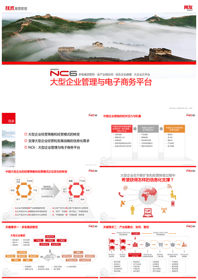 白色NC6_大型企业管理与电子商务产品介绍PPT模板