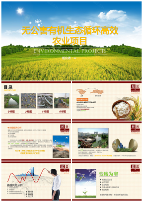 稻香綠色環保農業創業項目PPT模版